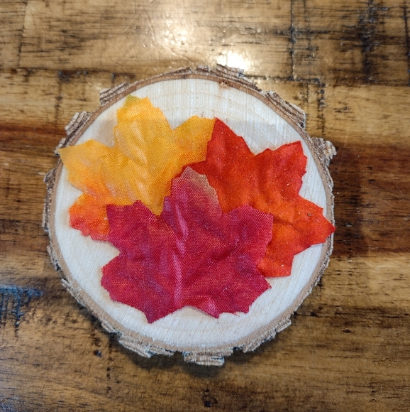 NEW, Handmade Bundle of 5 Fall Themed Magnets - Picture 5 of 7